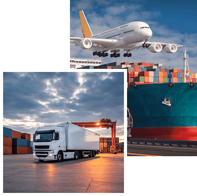 About Mediterranean Cargo Services
